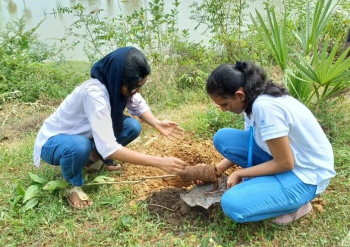 लाड़ली लक्ष्मी योजना में बालिकाएं पौधा लगाते हुए
