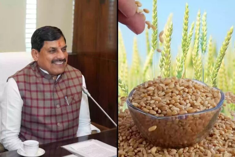 सीएम का बड़ा ऐलान: गेहूं पर ₹2600 समर्थन मूल्य, धान पर ₹4000 बोनस और 2.70 लाख भर्तियां